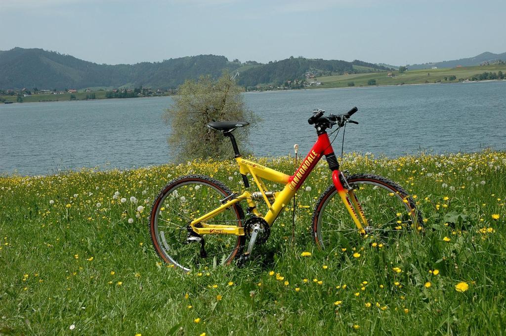 B&B Ferienhof Am See Willerzell Eksteriør billede