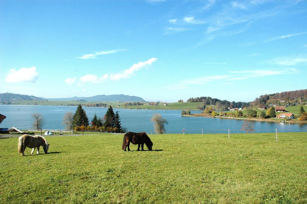 B&B Ferienhof Am See Willerzell Eksteriør billede