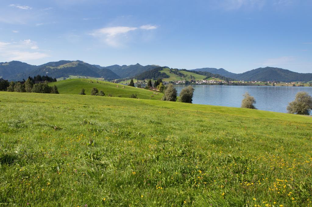 B&B Ferienhof Am See Willerzell Eksteriør billede
